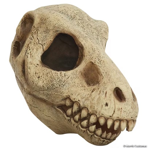 Tyrannosaurus Rex Dinosaur Skull Adult Mask